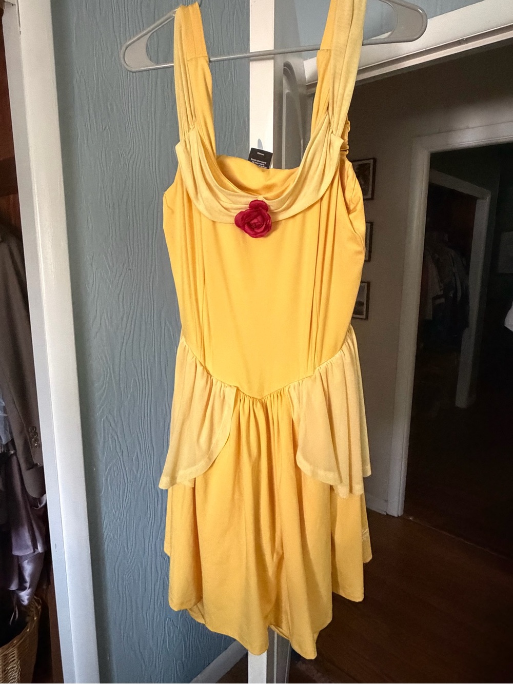 Disney Belle Run Disney Dress